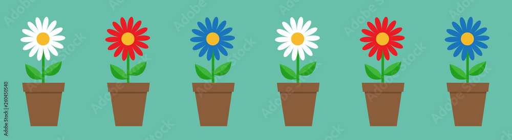 Daisy chamomile in pot line. Cute flower plant collection. Love card. White red blue camomile icon set Growing concept. Flat design. Green background. Isolated. Daisy chamomile in pot line. Cute flower plant collection. Love card. White red blue camomile icon set Growing concept. Flat design. Green background. Isolated.