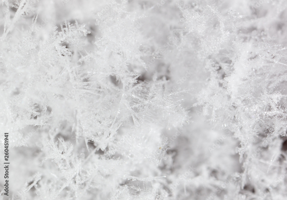White snowflakes on nature as a background White snowflakes on nature as a background