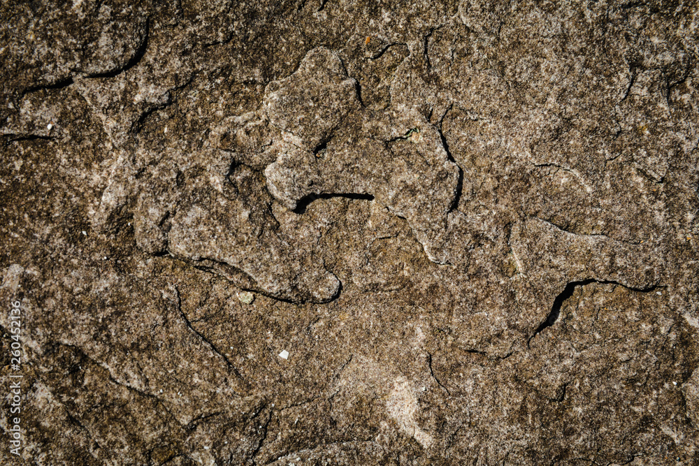 pattern and details on the surface of stone beautiful natural pattern and details on the surface of stone beautiful natural