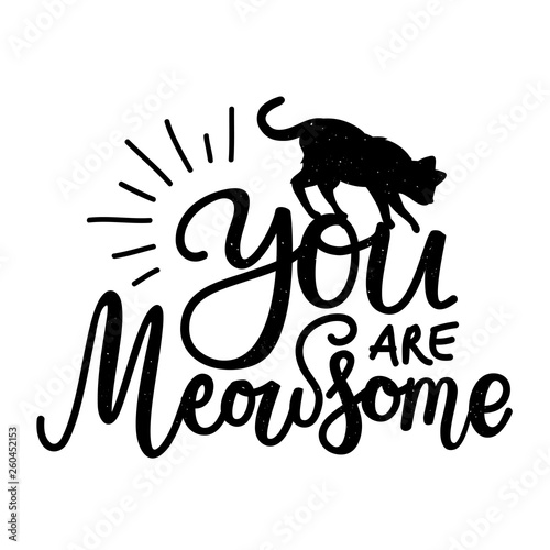 Black and white illustration with cat silhouette and calligraphy slang quote - You are Meowsome.
