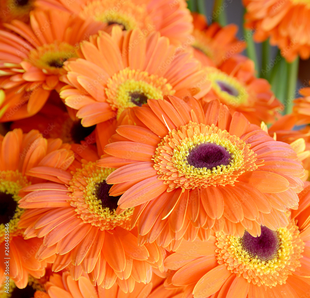 bouquet of orange flowers