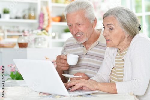 happy senior couple using laptop