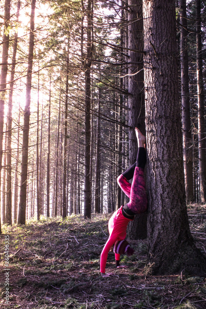 jeune femme dans la foret qui fait du yoga contre un arbre jeune femme dans la foret qui fait du yoga contre un arbre