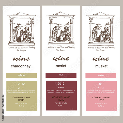 set of vector labels for wine with winemaking ink pen vintage drawing. Red merlot, white and pink wine sorts and grapes