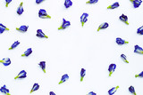 Frame made of butterfly pea flower on white