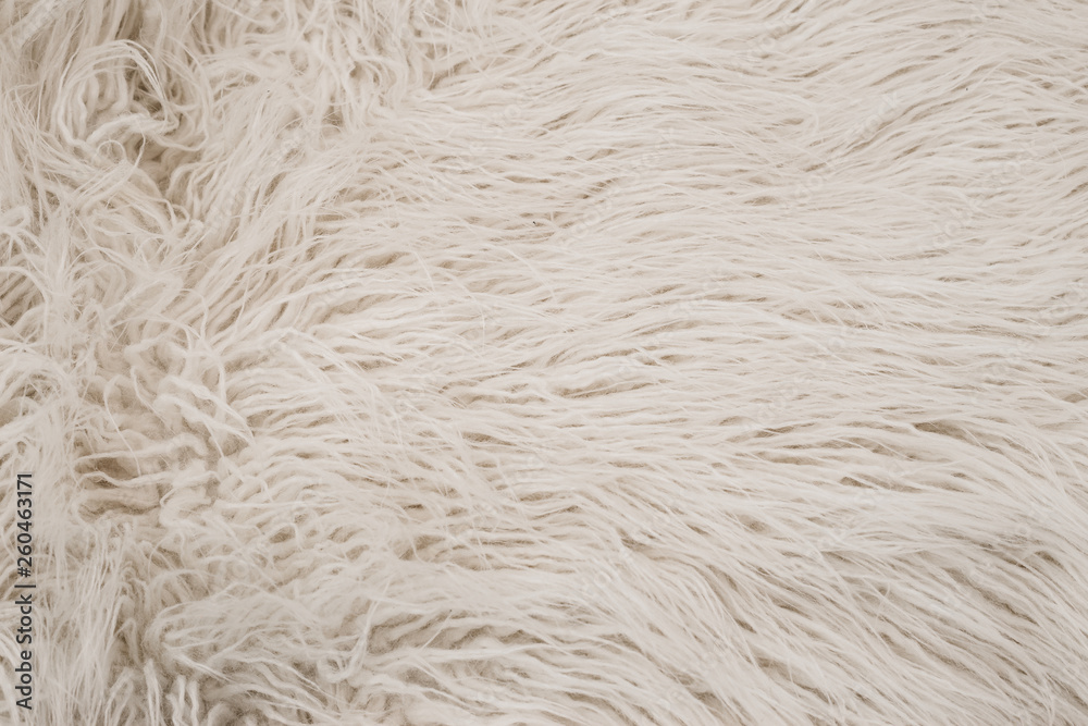Texture of white shaggy fur. Texture of white shaggy fur.