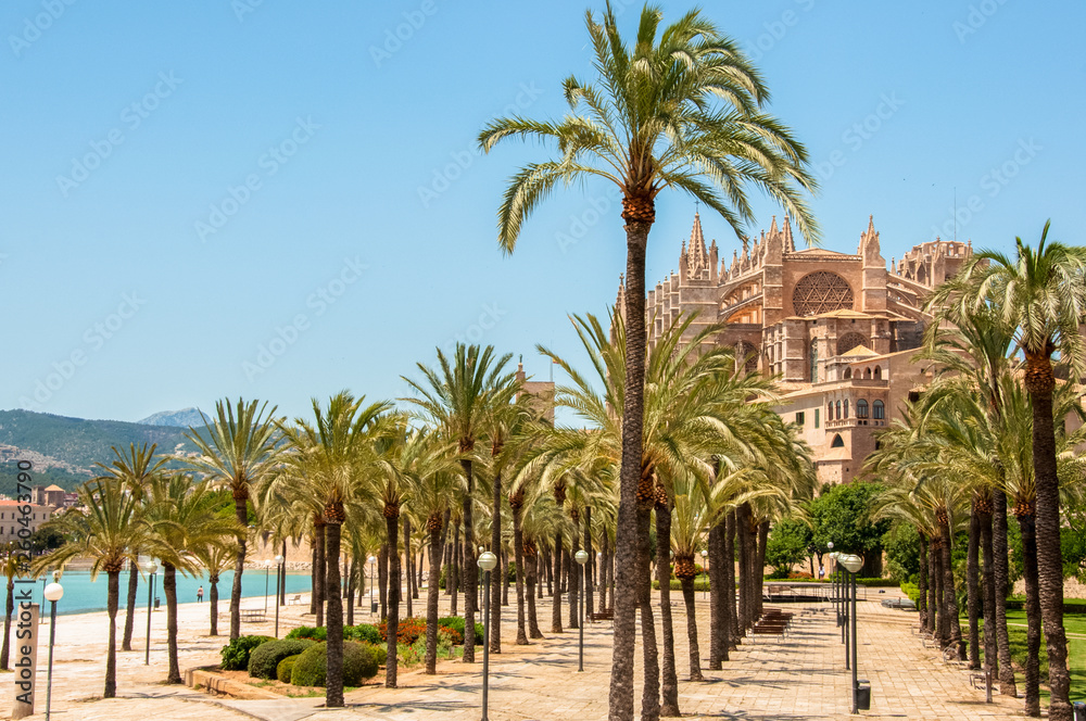 Catedral de Mallorca, Palma de Mallorca, Majorca - Spain