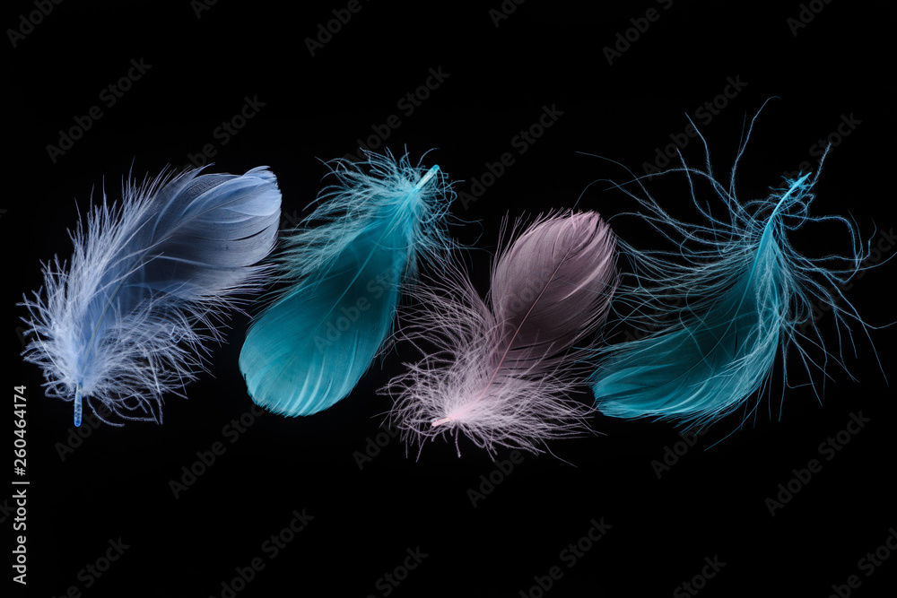 Obraz premium green, blue and pink light plumes in row isolated on black