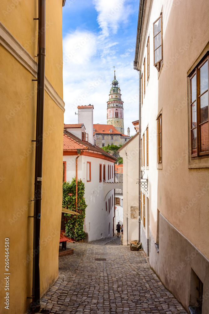 Fototapeta premium Street in Cesky Krumlov. Czech Krumlov, Czech Republic