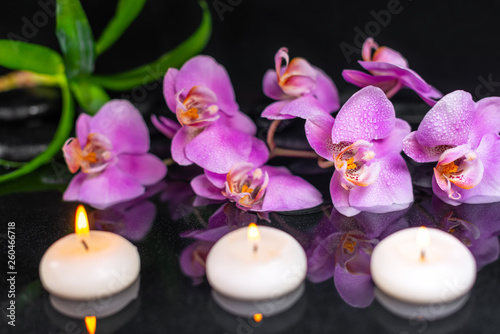 spa composition of purple orchid (phalaenopsis), candles, green leaves and black zen stones with drops on water with reflection