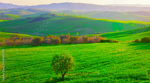 Stunning Landscape in Tuscany, Italy. 