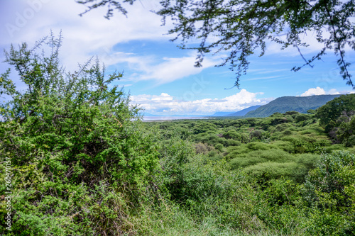 Landscape in Tanzania