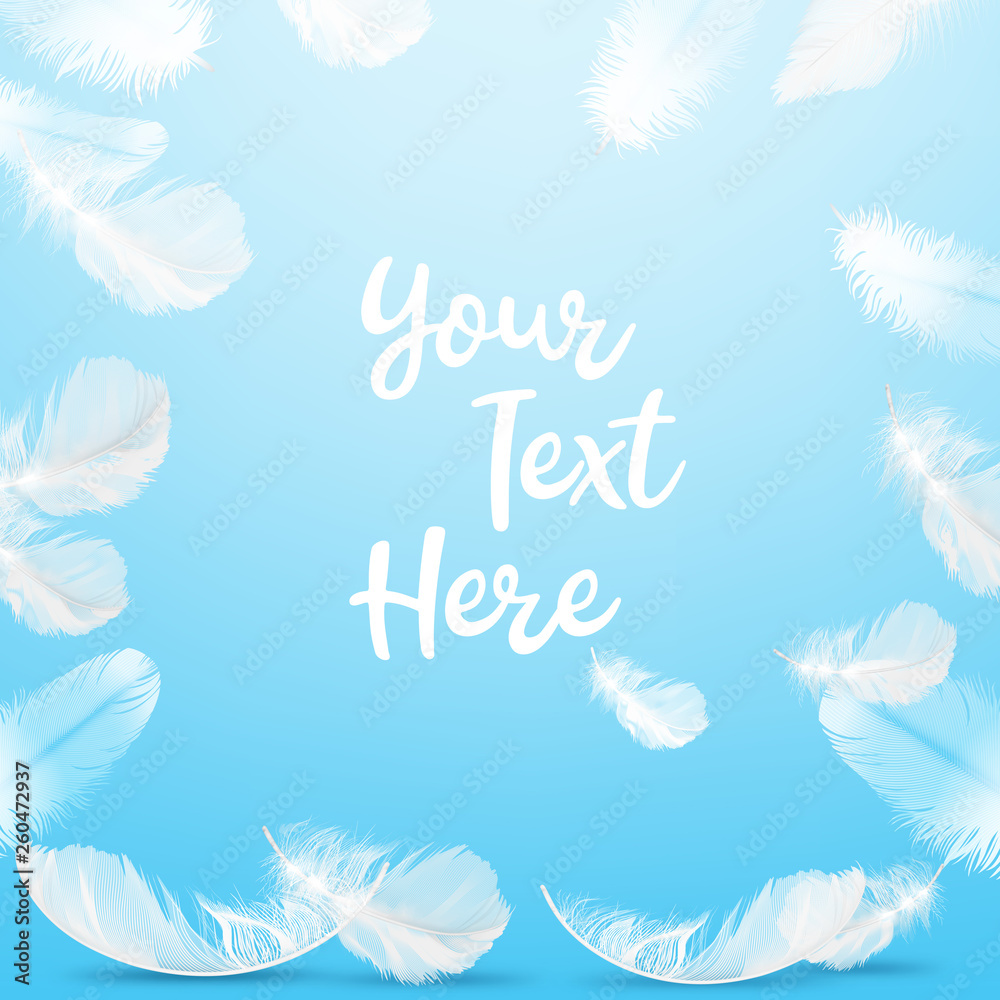 Obraz premium Frame white feathers