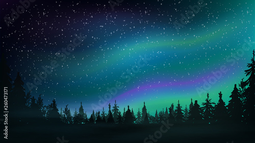 Fotografie, Obraz Pine forest, starry sky and Northern lights