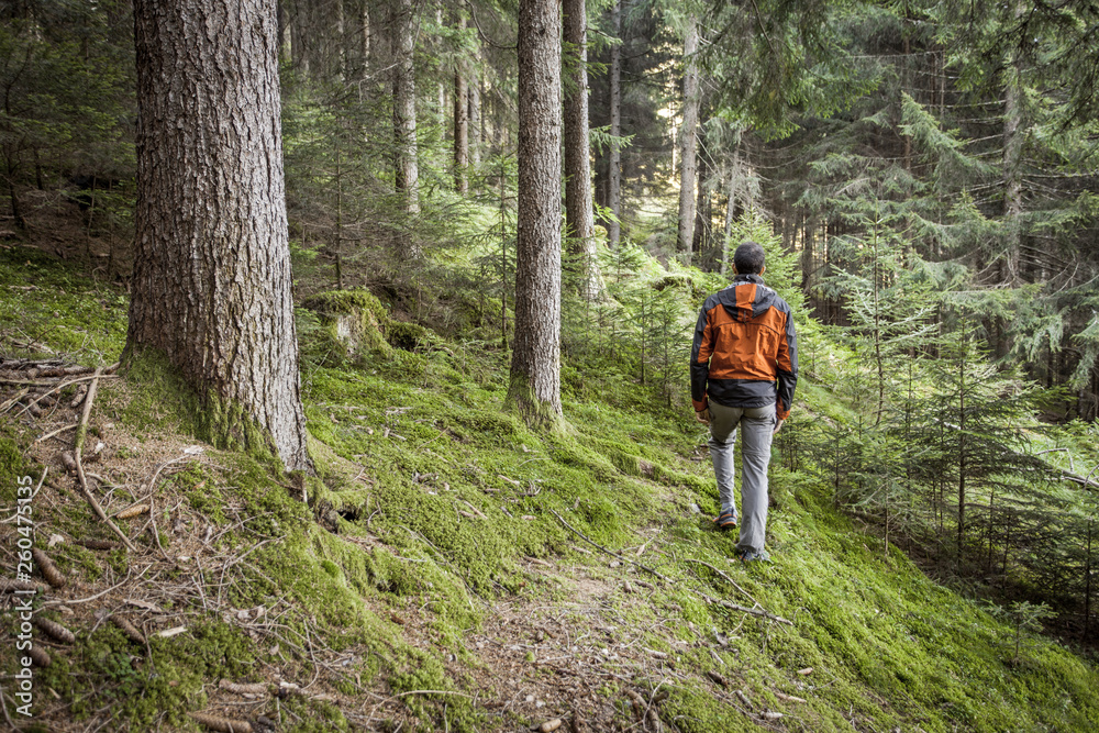 A trekker walking solo  among the forest in a cloudy day