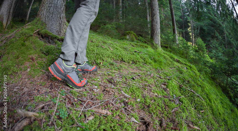 A trekker walking solo among the forest in a cloudy day A trekker walking solo among the forest in a cloudy day