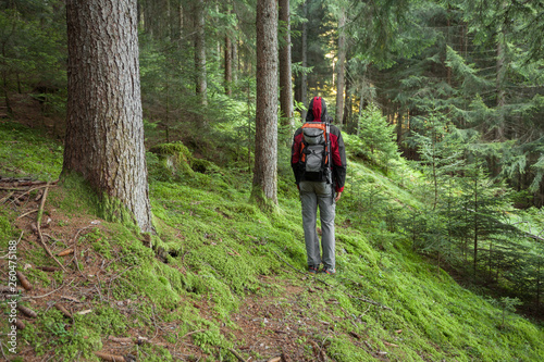 A trekker walking solo among the forest in a cloudy day