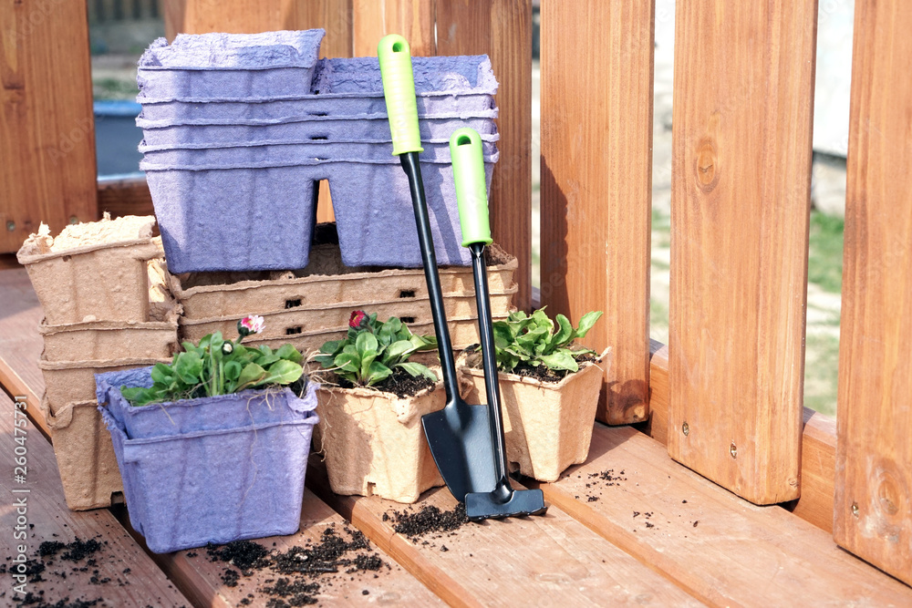 Flat lay. Eco-friendly pots for seedlings. Paper pots with flowers. Plant transportation. Flat lay. Eco-friendly pots for seedlings. Paper pots with flowers. Plant transportation.