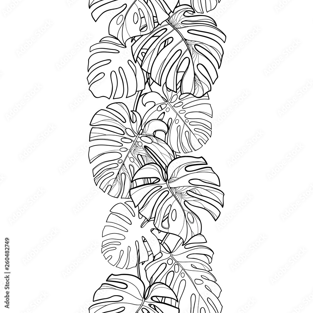 Seamless pattern with outline tropical leaves of Monstera or Swiss cheese plant in black on the white background. - obrazy, fototapety, plakaty 