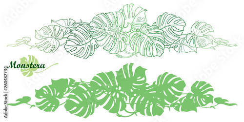 Set with outline tropical Monstera or Swiss cheese plant leaf bunch in pastel green isolated on white background. 