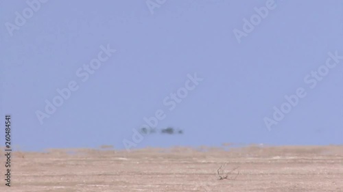 Kazakhstan. Ustyurt Plateau. Mirage. photo