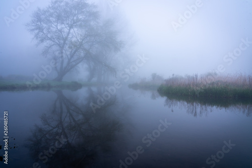 Reflections in water on a misty morning 