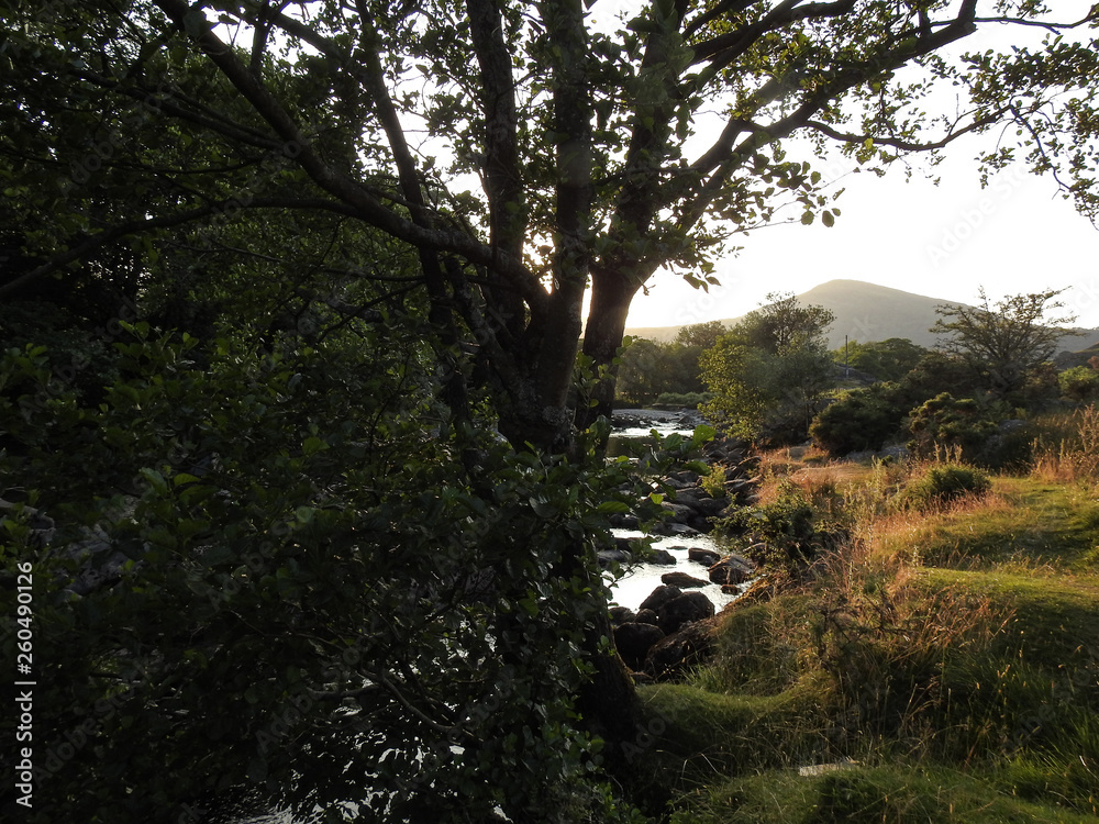 Babbling brook sunset 5 Babbling brook sunset 5