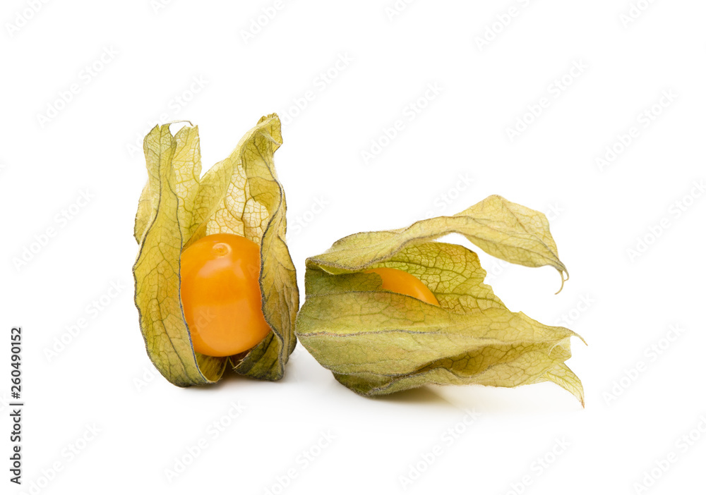 Healthy Cape Gooseberry (Physalis) isolated on white background