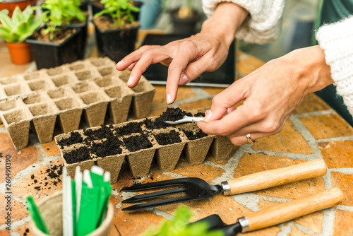 Planting seeds in Biodegradable pots