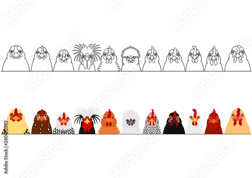 various chicken in a row