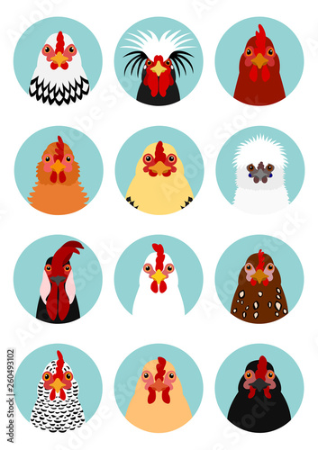 chicken heads set