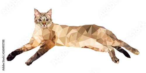 Εκτύπωση καμβά Vector illustration in low polygon style