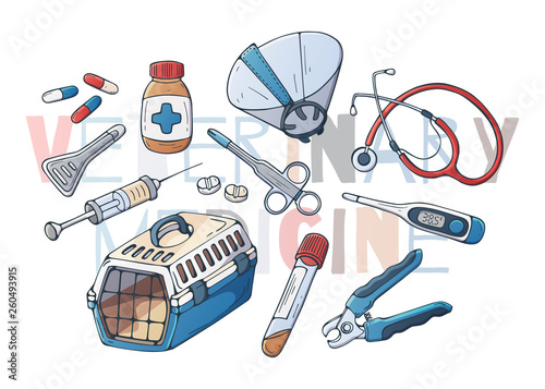 Group of vector illustrations on the veterinary pet care theme; accessories for cats and dogs. Isolated objects for your design. Each object can be changed and moved.