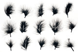 seamless background with black feathers isolated on white
