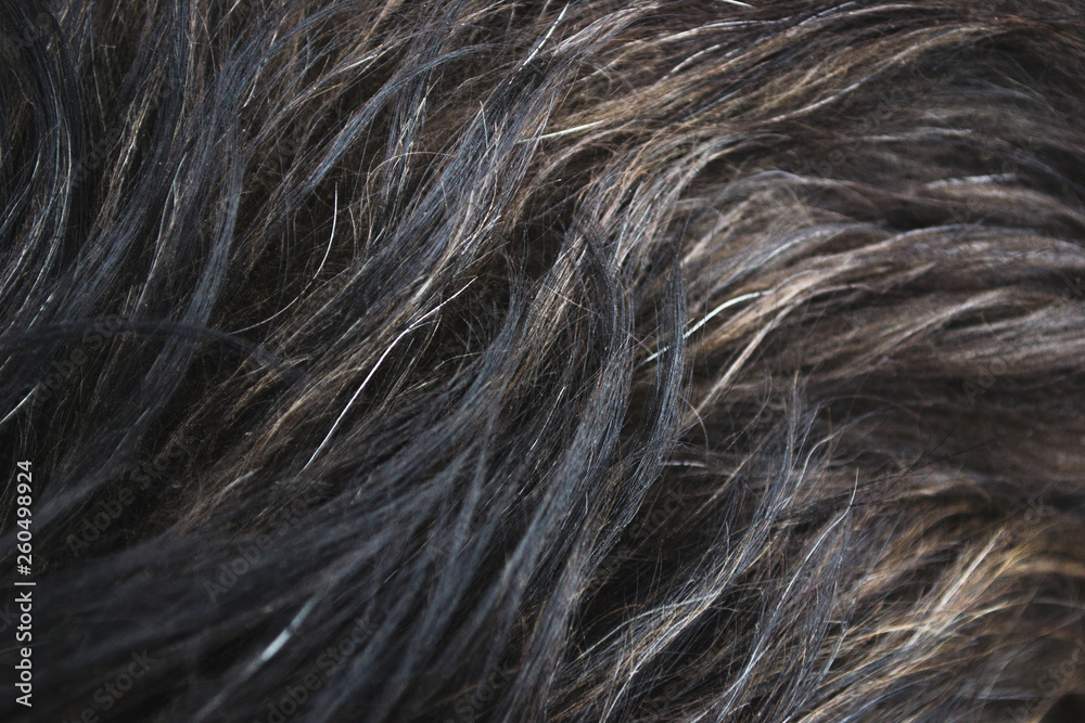 Naklejka premium Hair man macro shot