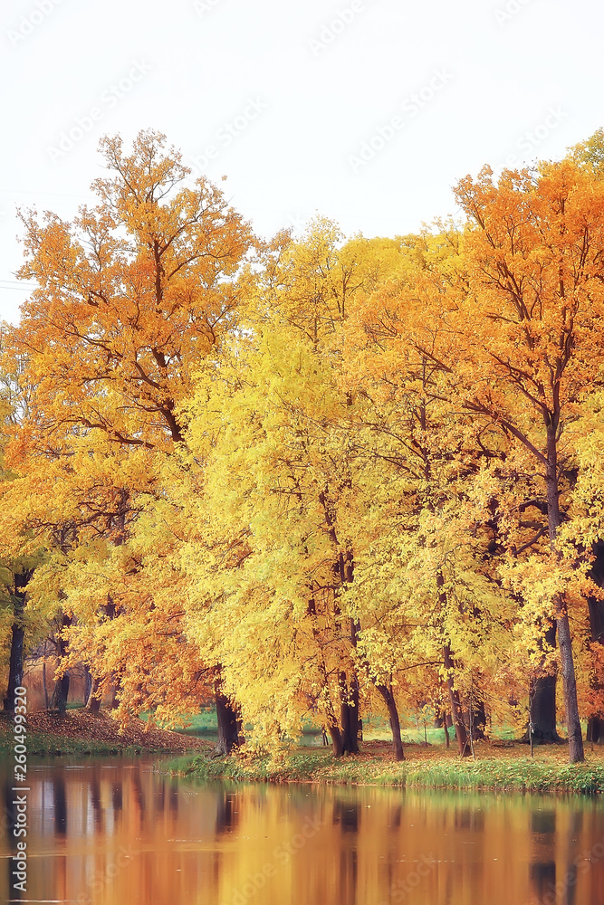 autumn landscape / yellow trees in autumn park, bright orange forest