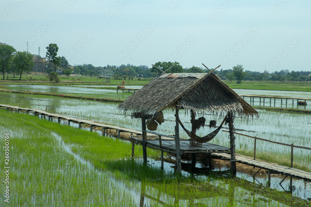 The hut in the middle of the field, focus selective. The hut in the middle of the field, focus selective.