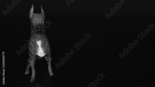 Slight high angle view of Great Dane dog sitting 3d render