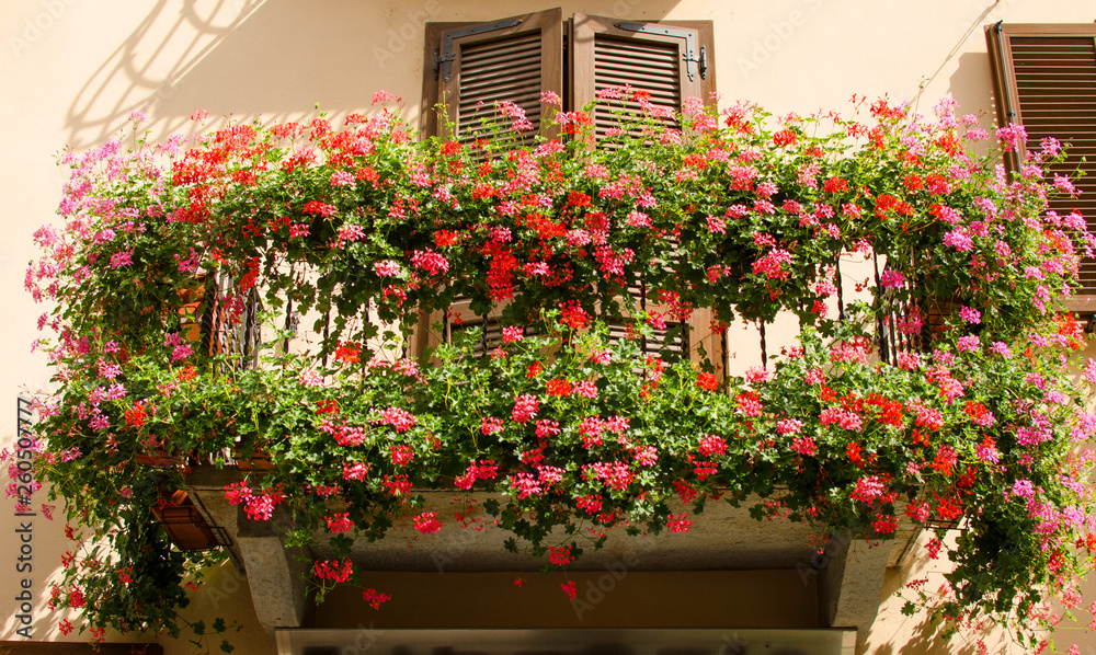 A balcony on the antic house with flowers in blossom, Italy