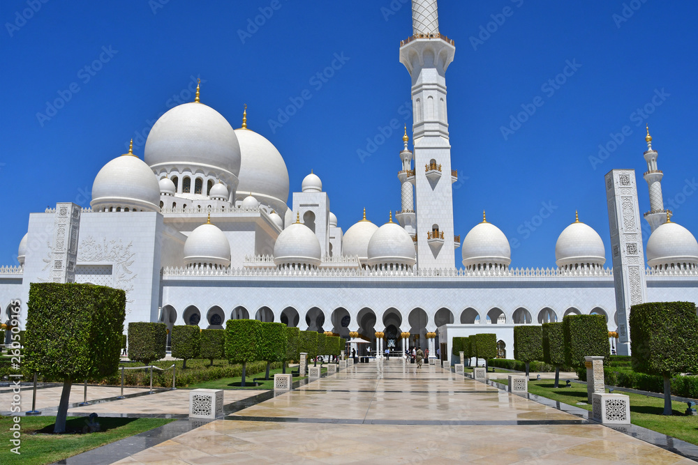 Fototapeta premium Sheikh Zayed Grand Mosque, Abu Dhabi, United Arab Emirates