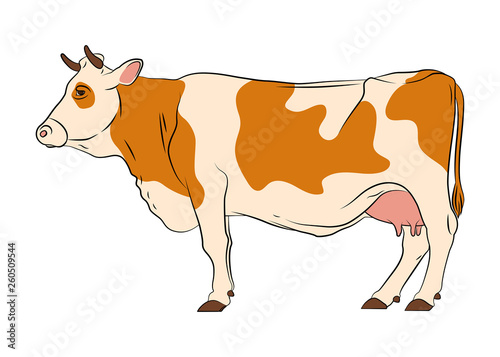 Cow vector isolated on white background.