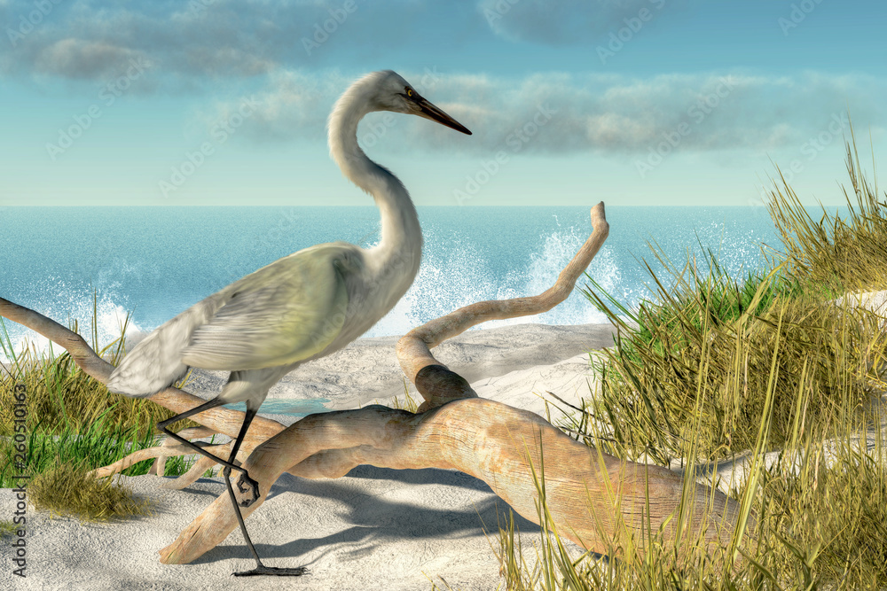 A white egret stands among some grassy dunes next a piece of driftwood on a sunny beach with crashing waves. 3D illustration - obrazy, fototapety, plakaty 
