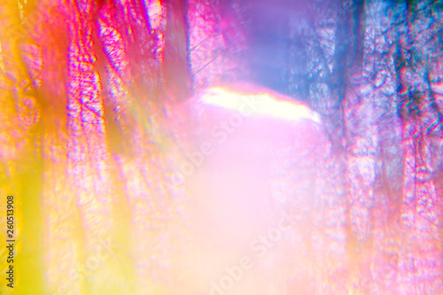 Canvas Print Magical hallucinogenic abstract forest with color bokeh light
