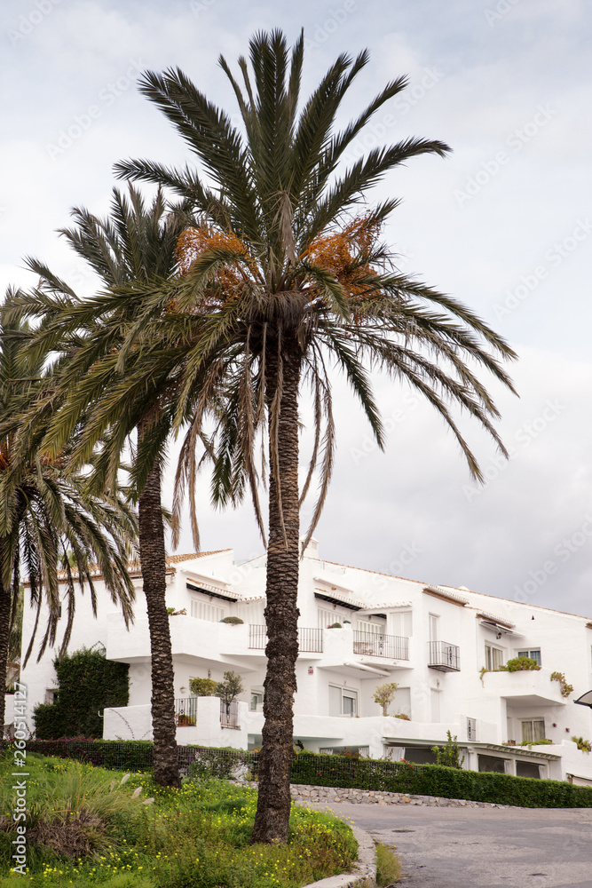 Fototapeta premium architecture of building in spain