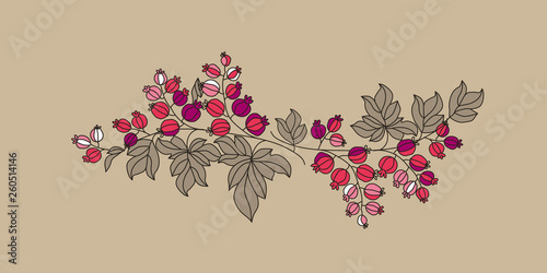 Currant berries branch outl...