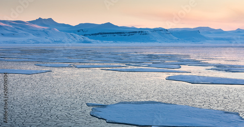 Icy landscapes and icescapes of Svalbard.