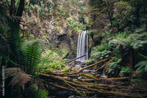 Hopetoun falls in Great Otway National park, Victoria, Australia. photo