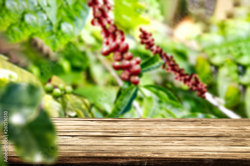 Desk of free space for your decoration and coffee plantation. 