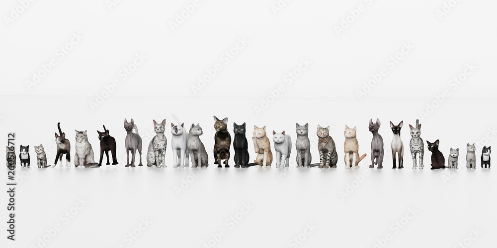 Naklejka Group of cats different breeds of cats together on white background 3d render