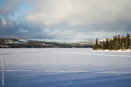 winter landscape in the mountains